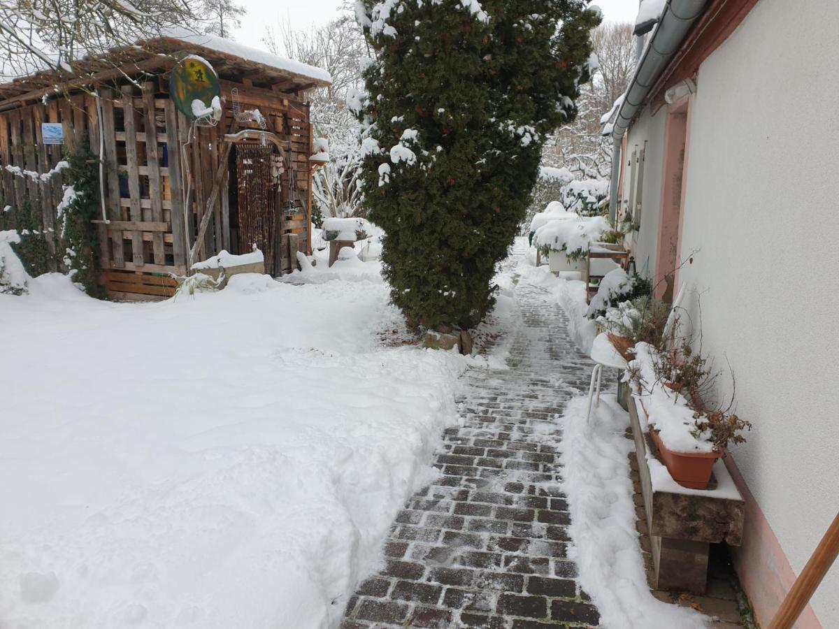 Unser Obervolkacher Ferienhaus-Einfach Gemutlich! Экстерьер фото