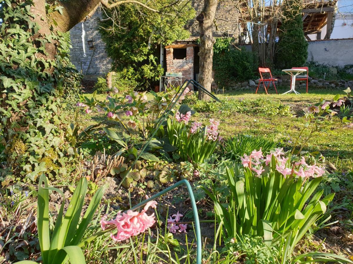 Unser Obervolkacher Ferienhaus-Einfach Gemutlich! Экстерьер фото