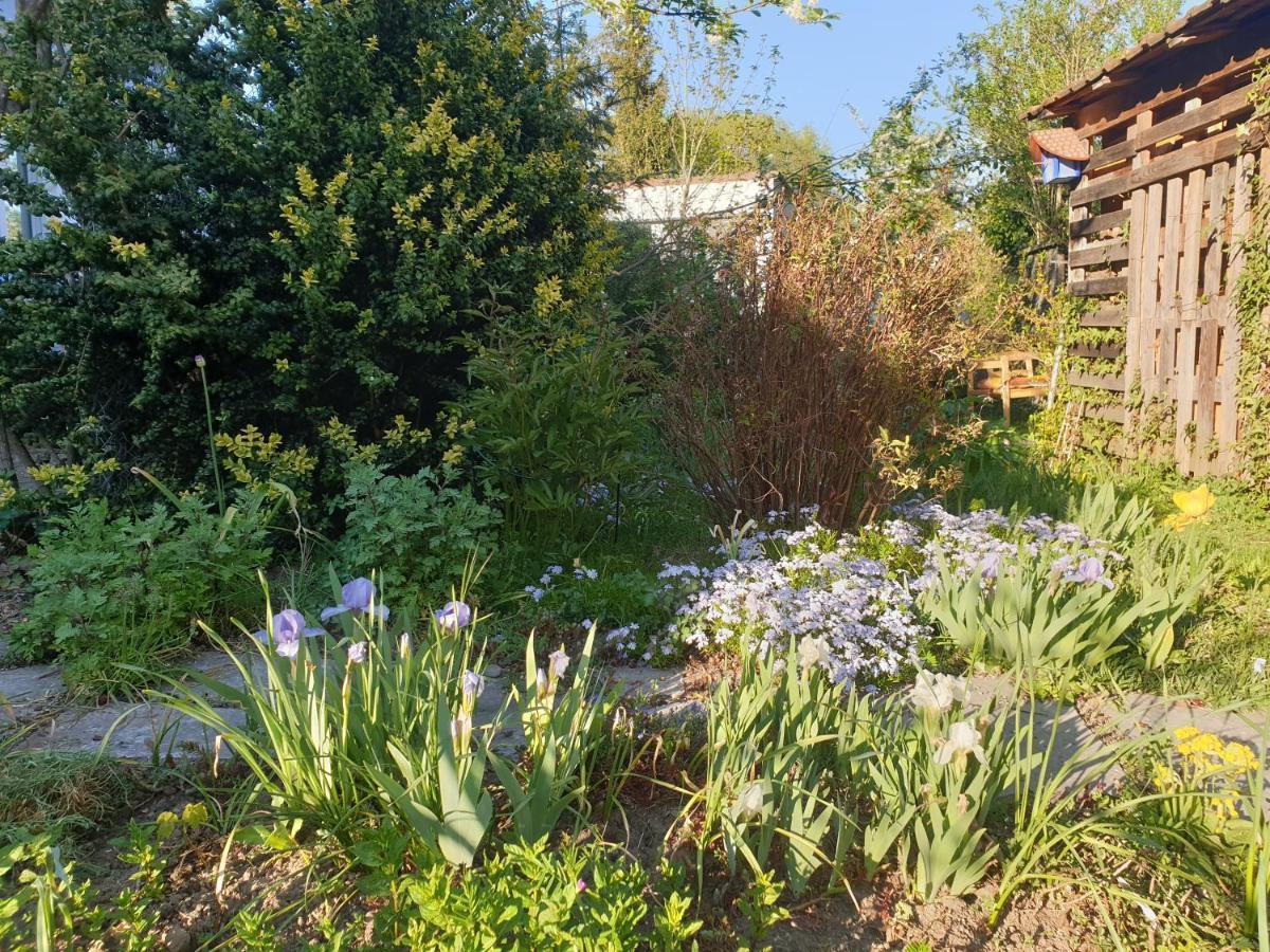 Unser Obervolkacher Ferienhaus-Einfach Gemutlich! Экстерьер фото
