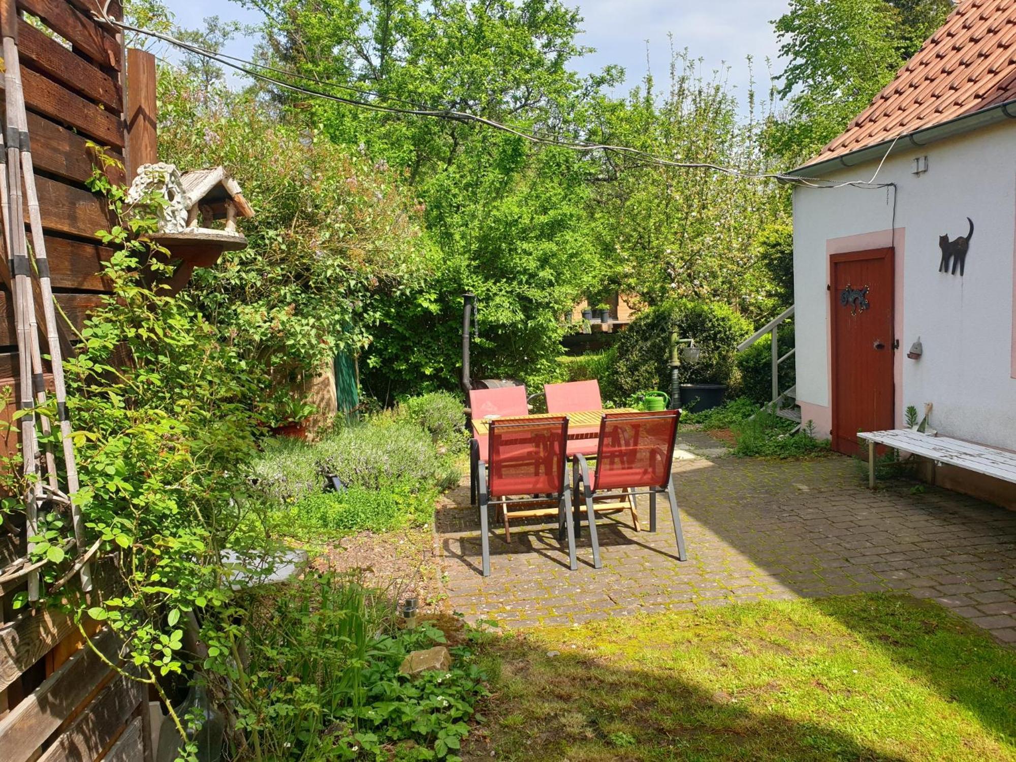 Unser Obervolkacher Ferienhaus-Einfach Gemutlich! Экстерьер фото